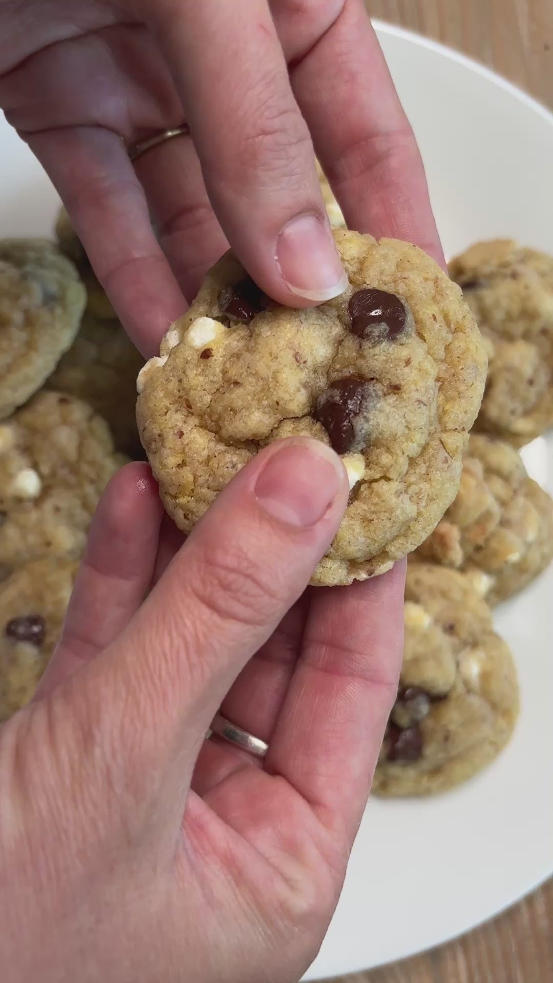 Lactation Cookies- Baking Mixes